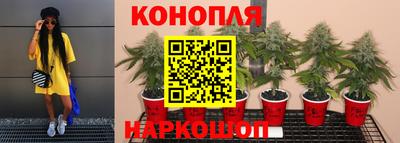 мдпв Пушкино